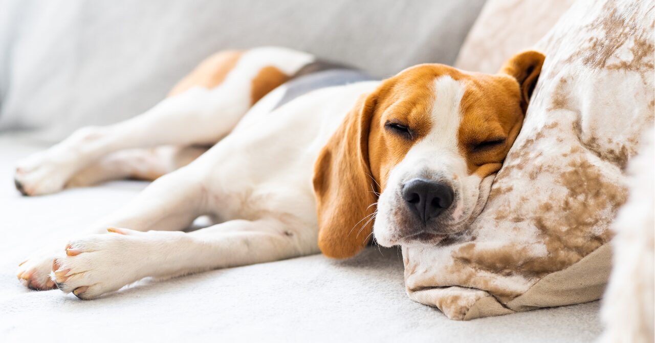 快適な睡眠をとると、どんな良いことがある?