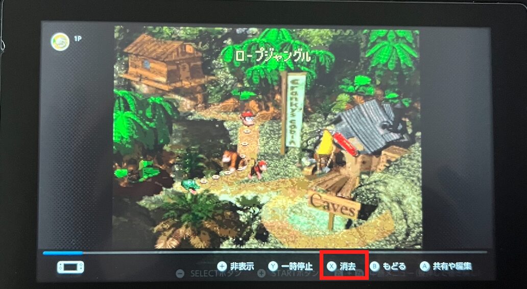 スイッチ録画データ削除(単体削除)2